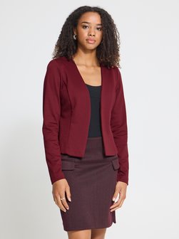 Damen Blazer IHKATE