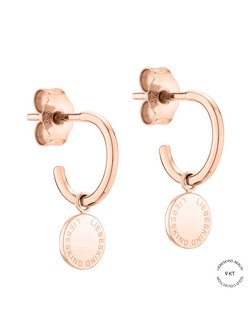 Damen Creolen  -  Gold Collection