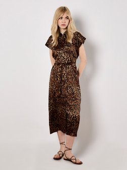 Artikelbild Damen Midikleid von Apricot in braun gemustert