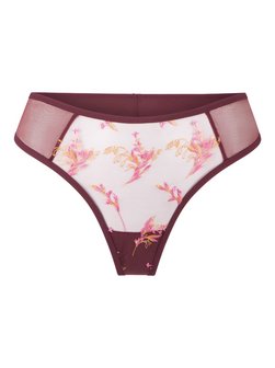 Damen Panty