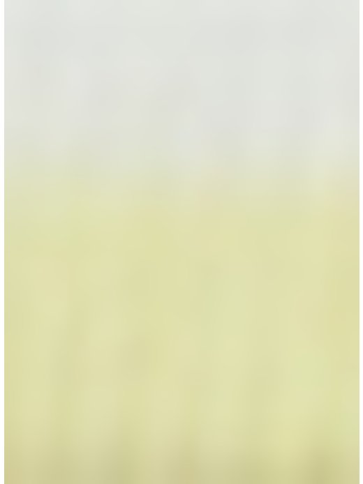 Damen Poloshirt