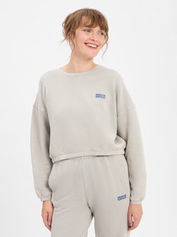Artikelbild Damen Sweatshirt - Izubird von american vintage in hellgrau uni