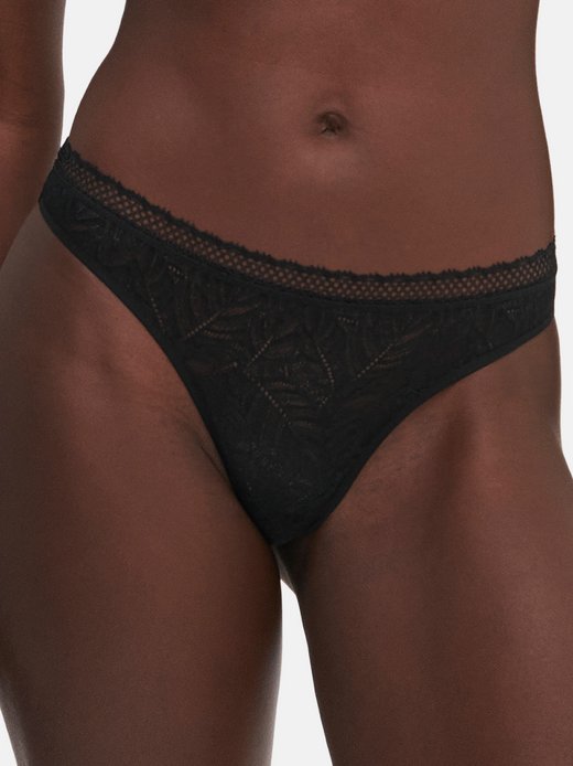 Damen Tanga - Comete