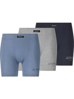 Herren 3er Pack Retropants - DOMETISSI