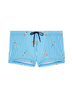 Herren Badeshorts  -  Swim Shorts Viareggio