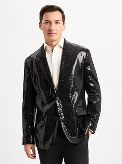 Herren Blazer - Karlo