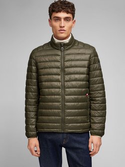 Artikelbild Herren Blouson von Daniel Hechter in grün uni