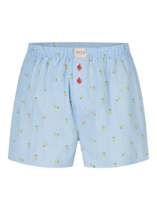 Herren Boxer  -  Classics