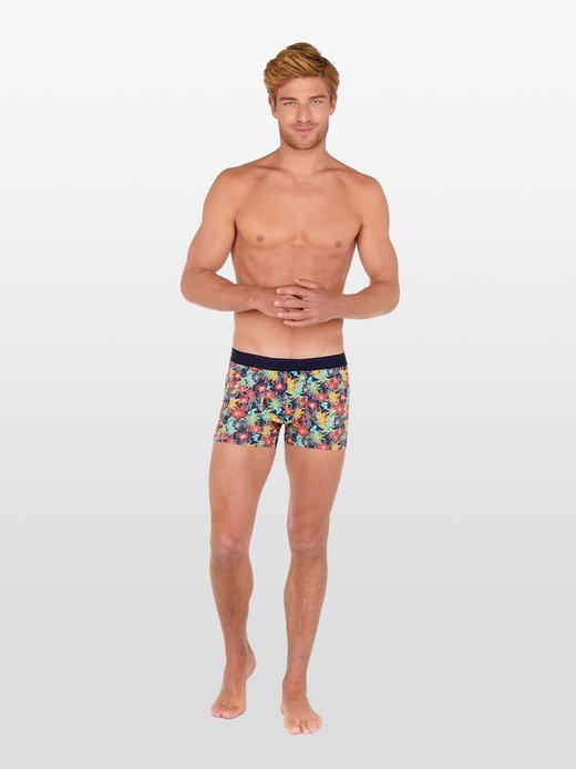Herren Boxer  -  Ephrussi