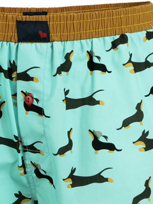 Herren Boxer  -  FLYING FALCON