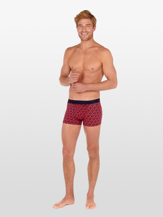 Herren Boxer  -  Gineste HO1