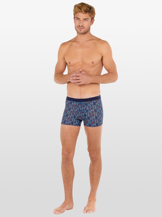 Herren Boxer  -  Lugano