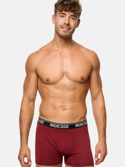 Herren Boxershorts - INMilano