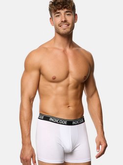 Herren Boxershorts - INMilano