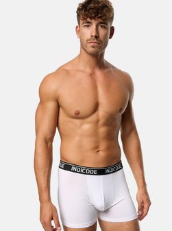 Herren Boxershorts - INMilano