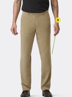 Herren Chino