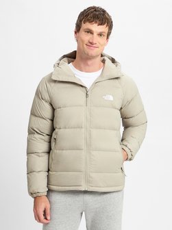 Artikelbild Herren Daunenjacke von The North Face in beige uni