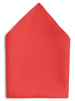 Herren Einstecktuch