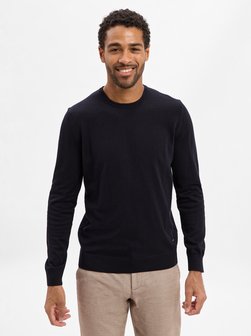 Herren Feinstrickpullover - Denny