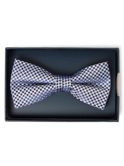 Herren Fliege aus Seide