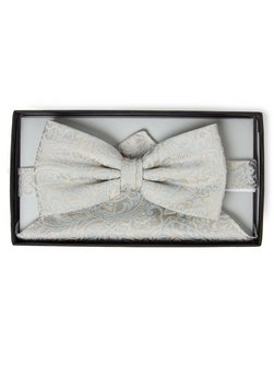 Herren Fliege mit Einstecktuch