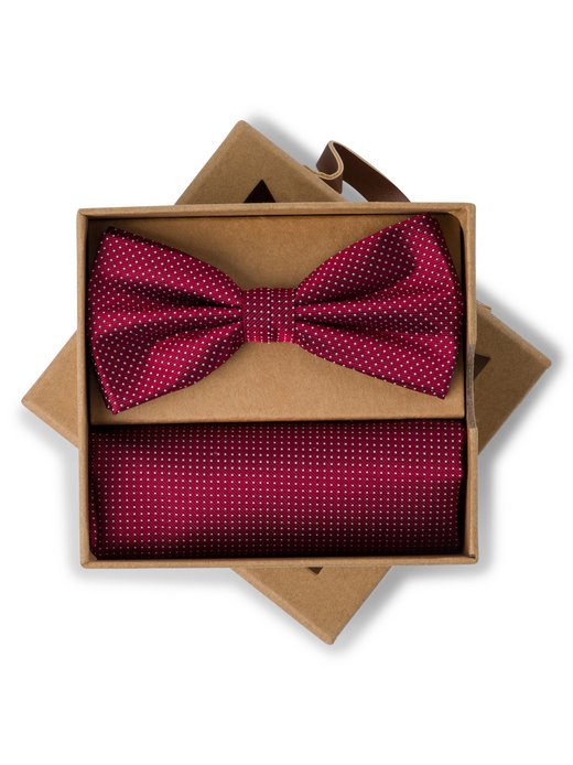 Herren Fliege und Einstecktuch aus Seide