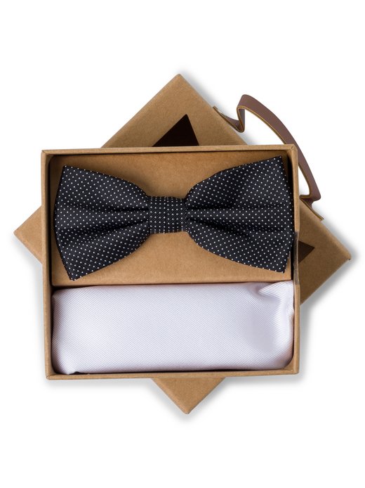 Herren Fliege und Einstecktuch aus Seide