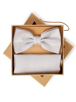 Herren Fliege und Einstecktuch aus Seide