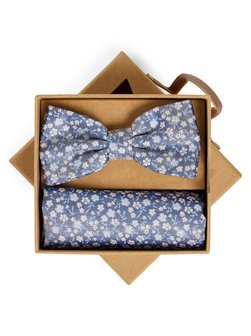 Herren Fliege und Einstecktuch aus Seide