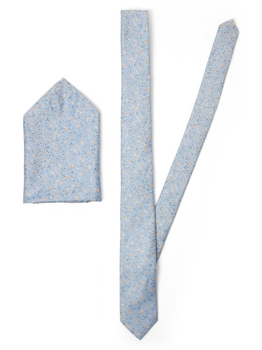 Herren Fliege und Einstecktuch