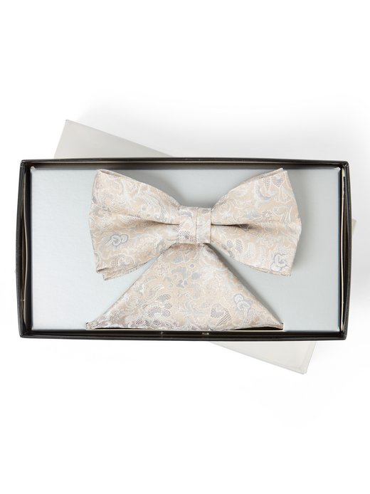 Herren Fliege und Einstecktuch