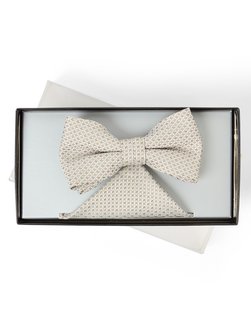 Herren Fliege und Einstecktuch