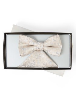 Herren Fliege und Einstecktuch