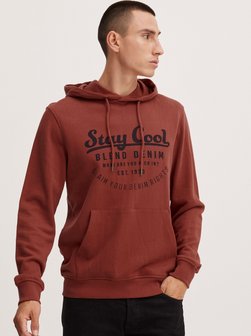 Herren Hoodie - BHSweatshirt