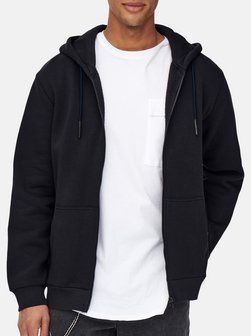 Herren Hoodie - Ceres