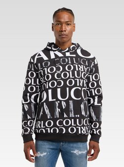 Herren Hoodie  -  Dipauli