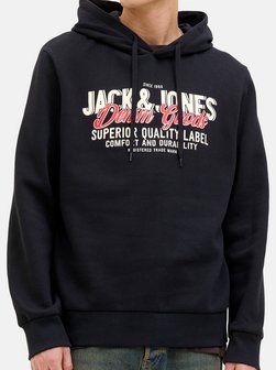 Herren Hoodie - Logo