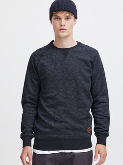 Herren Hoodie - SDVituNeck