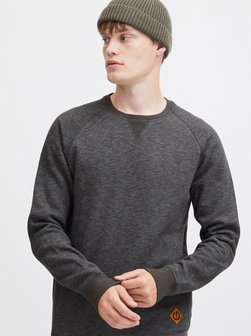 Herren Hoodie - SDVituNeck