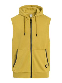 Artikelbild Herren Hoodie von Gold's Gym in mais uni