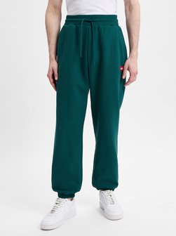 Artikelbild Herren Jogginghose von The North Face in grün uni