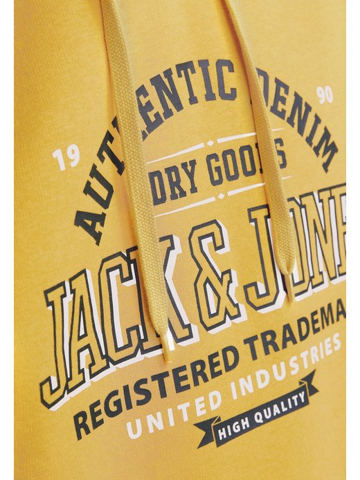 Herren Kapuzenpullover