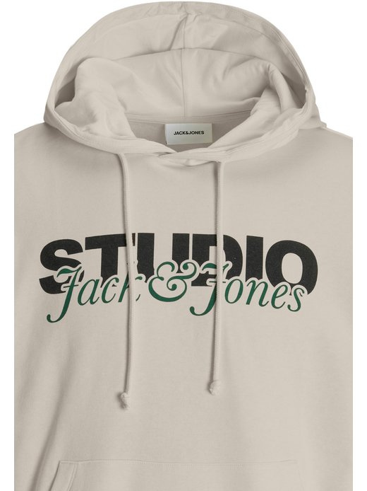 Herren Kapuzenpullover