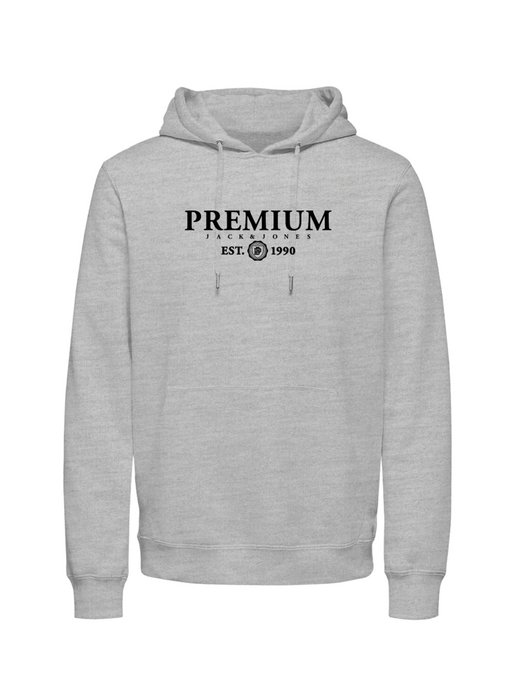 Herren Kapuzenpullover