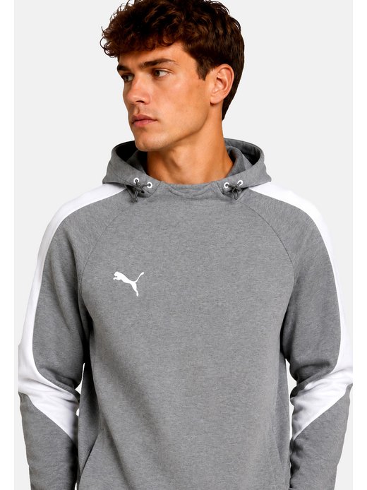 Herren Kapuzenpullover