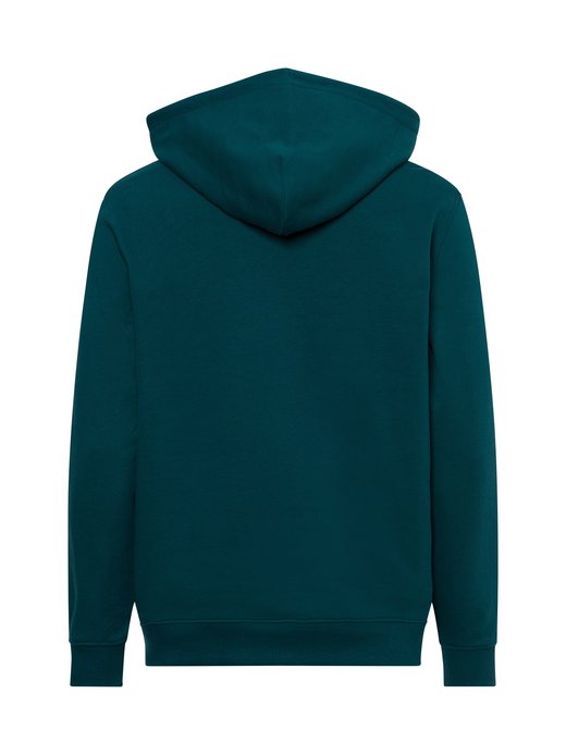 Herren Kapuzenpullover