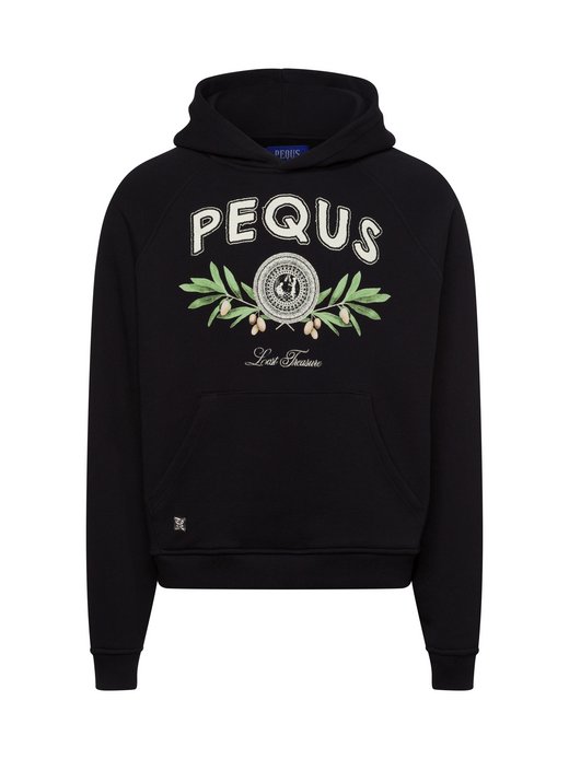 Herren Kapuzenpullover