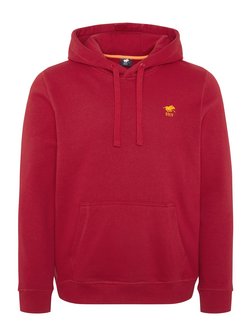 Herren Kapuzenpullover
