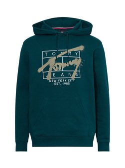 Herren Kapuzenpullover