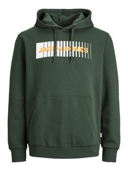 Herren Kapuzenpullover